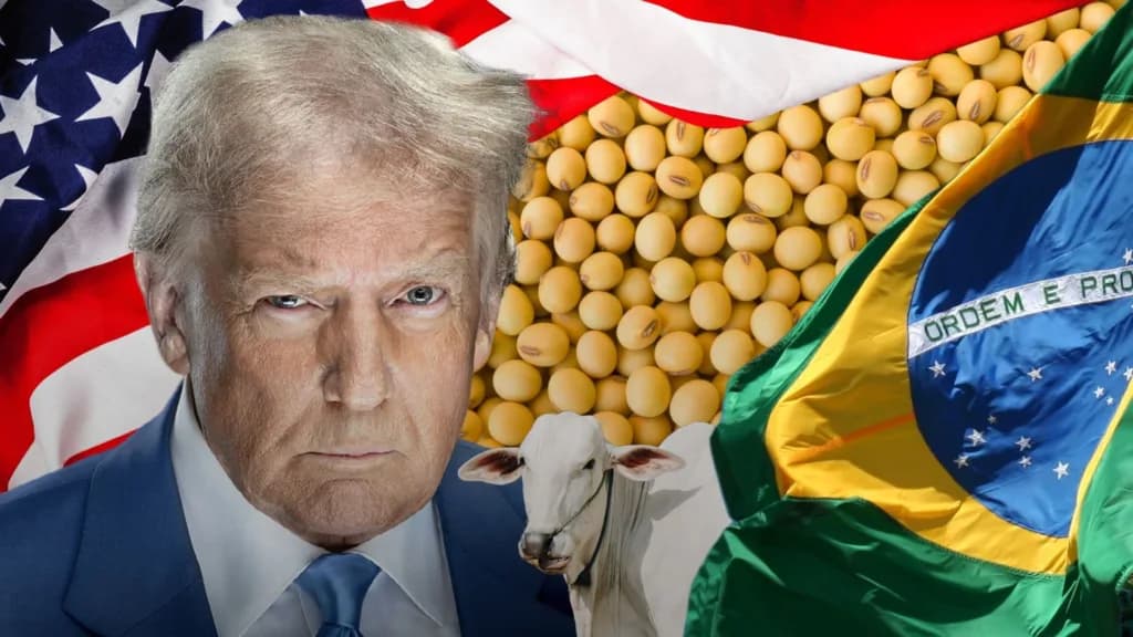 A volta de Trump e os impactos para o agronegócio brasileiro em 2025