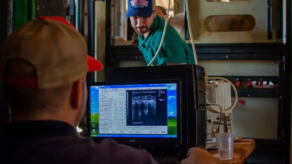 Ultrassonografia de carcaça é destaque nas avaliações do Promebo