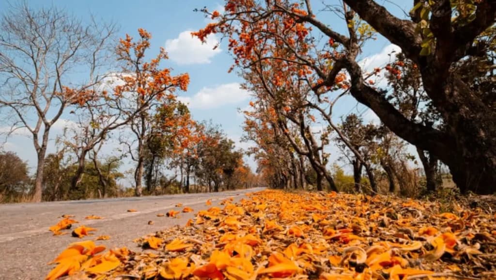 Previsão do tempo: Outono começa com chuvas no país com destaque para Sudeste