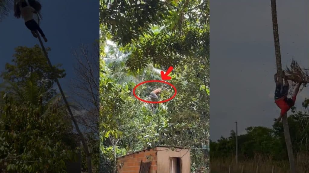 VÍDEO QUE NINGUÉM MOSTRA: Isso que acontece antes do AÇAÍ chegar a sua mesa