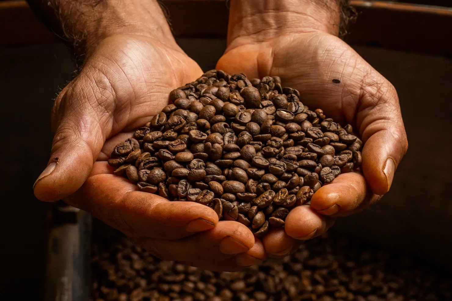 Preços mínimos para safra 2025/26 de café, laranja, sisal e trigo são atualizados, confira!