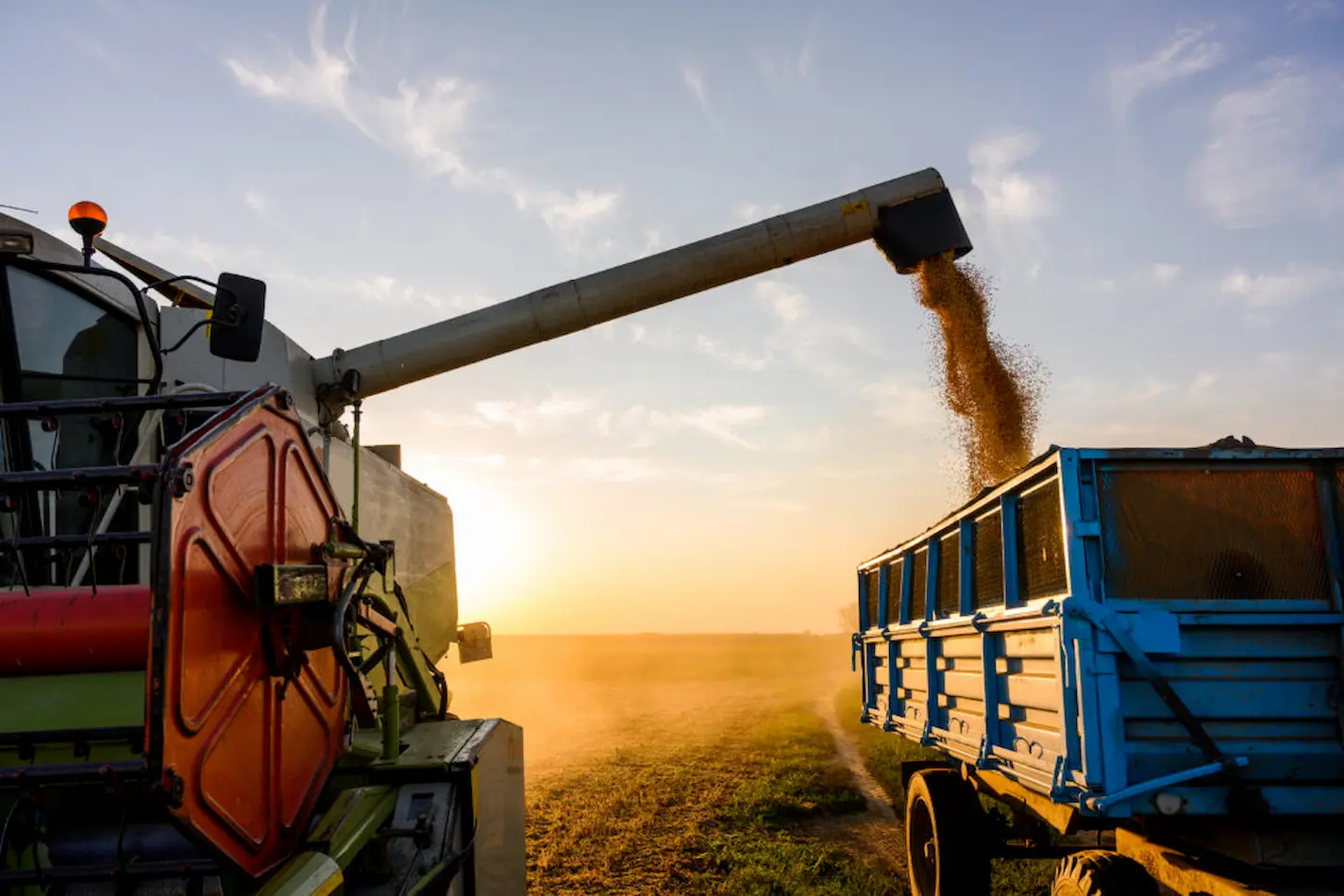 Goiás fecha 2024 com recordes no agronegócio consolidando posição de destaque, confira!