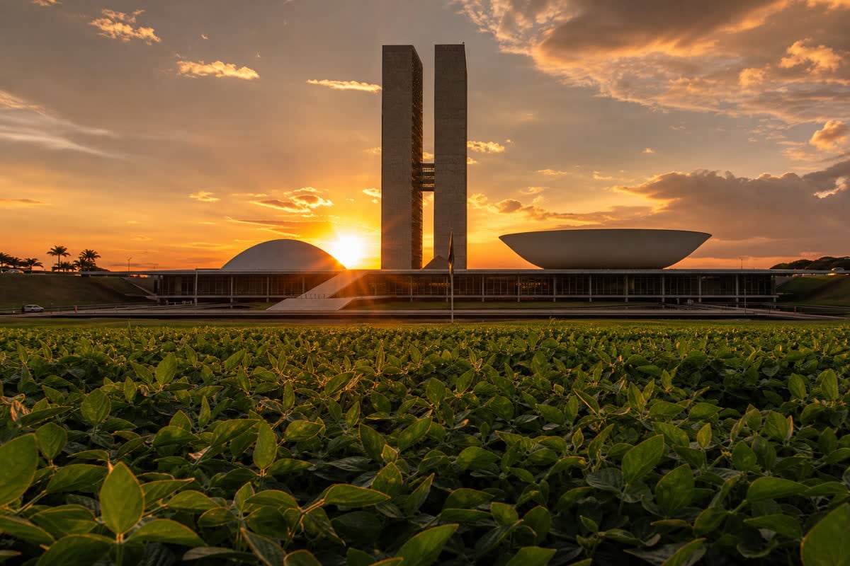 Congresso Nacional e lavoura representam conexão entre política agrícola e produção rural