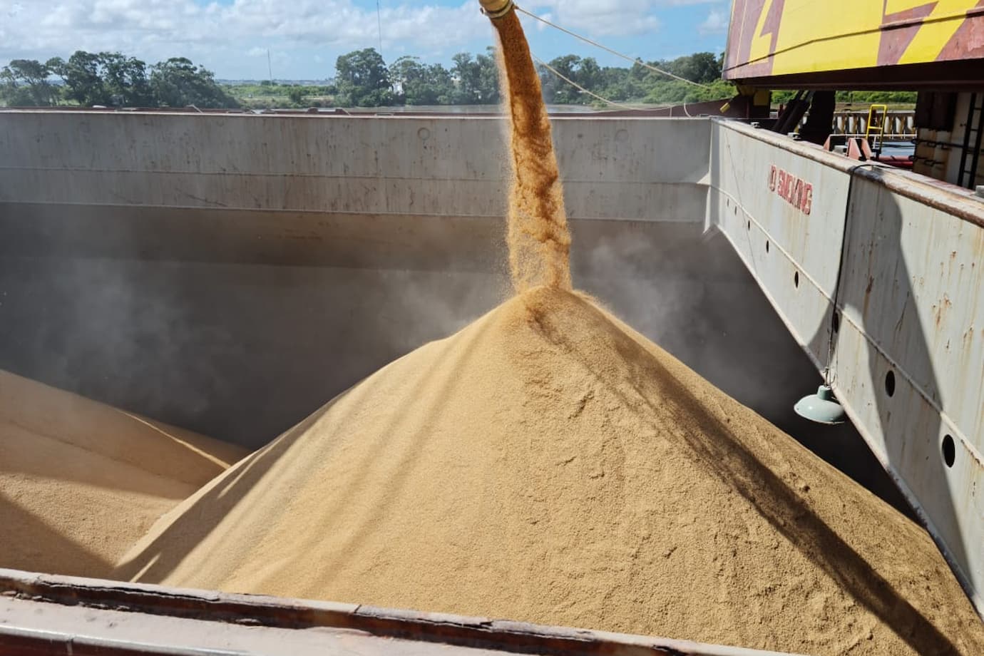 Confirmada negociação de 50 mil ton de arroz com casca para o exterior