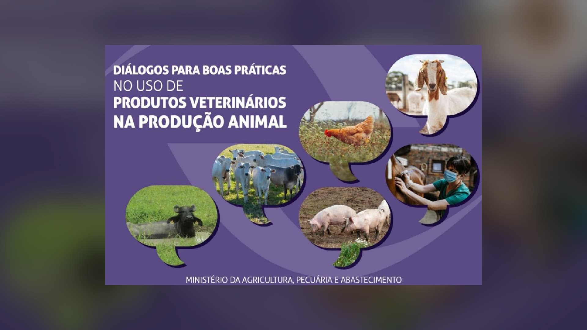 Indea-MT lança campanha de boas práticas de uso de produtos veterinários