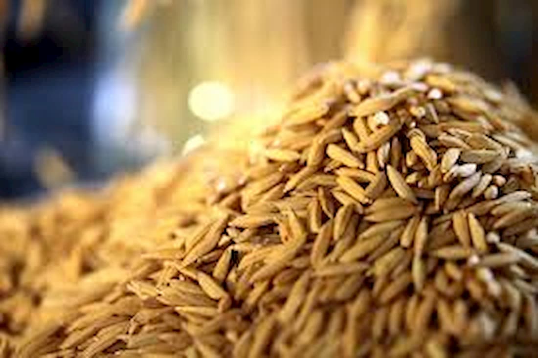 Mercado do arroz 12 de abril