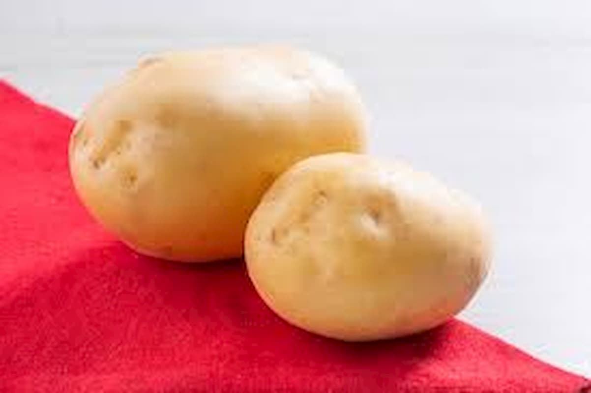 Batata: preços recuam em janeiro
