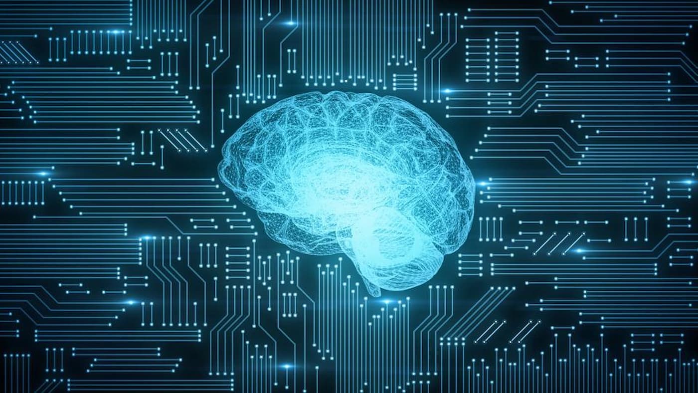 Vídeo: “Cérebro Ciborgue” criado com neurônios humanos aprende mais rápido que IA