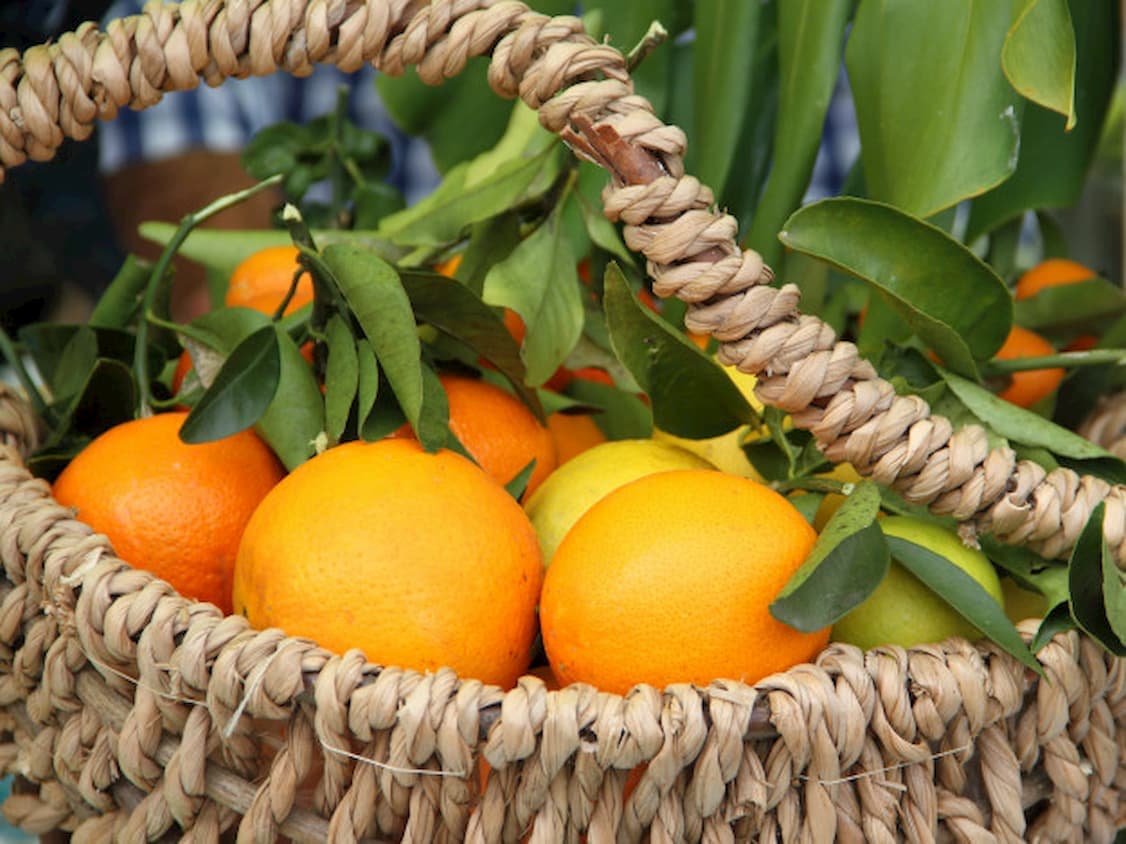 Citros: preço da laranja se sustenta