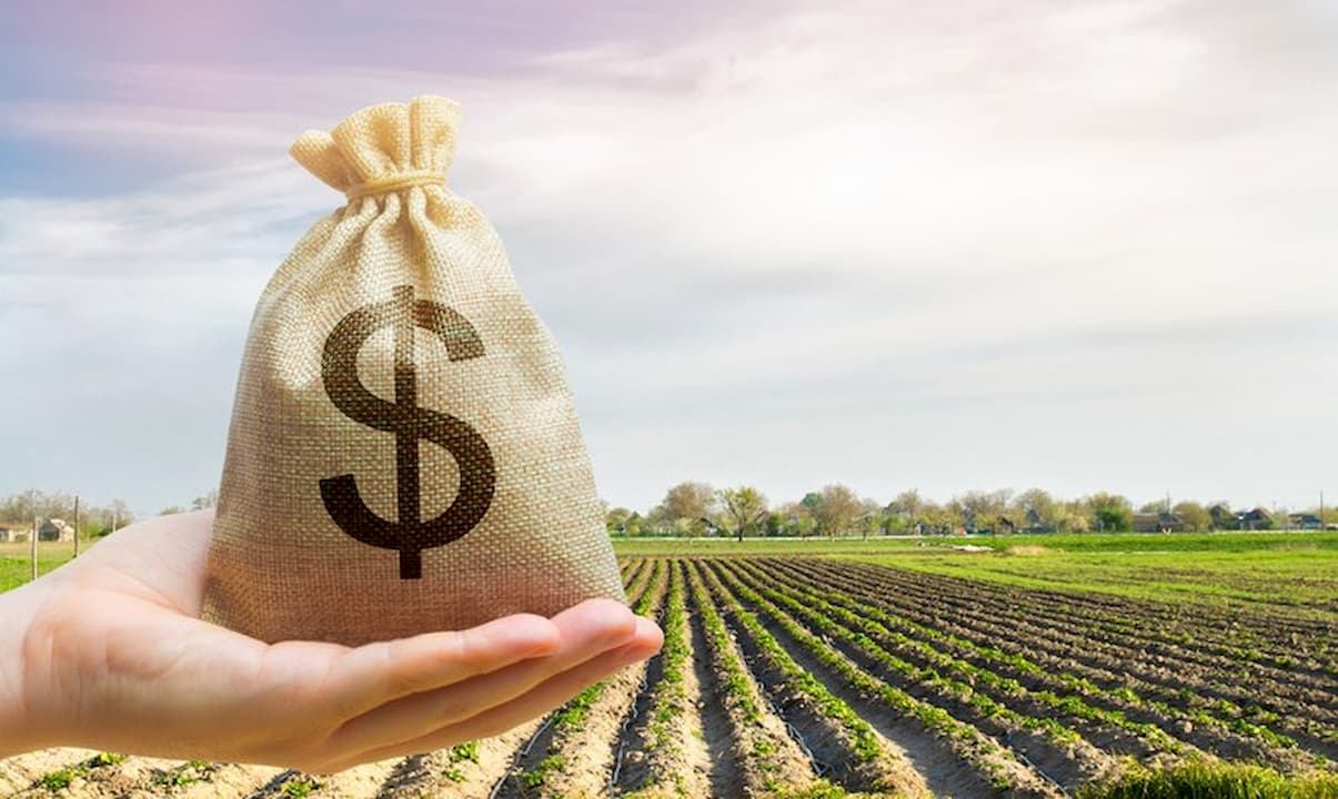 FCO oferta R$ 546,8 milhões em crédito para empresários e produtores rurais de MT