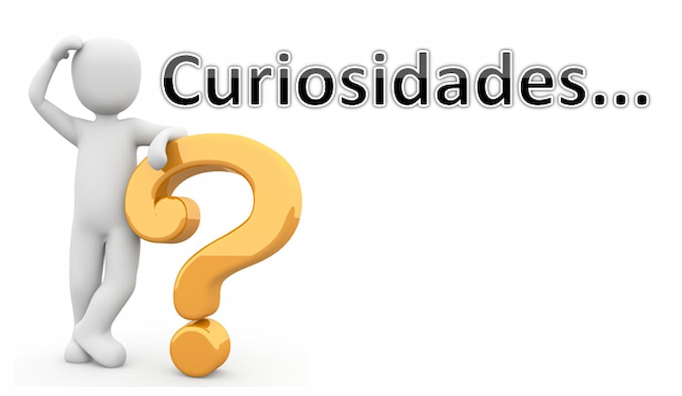 Existem 5 tipos de curiosidades: descubra qual delas você tem