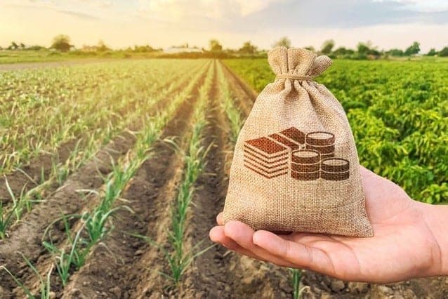 Produtores contratam R$ 48,9 bilhões em crédito do Plano Safra