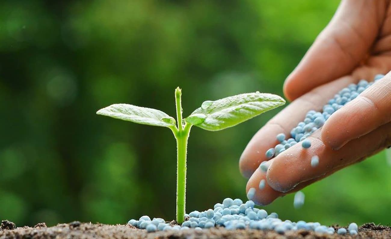 Governo Federal lança Plano Nacional de Fertilizantes visando reduzir importação dos insumos