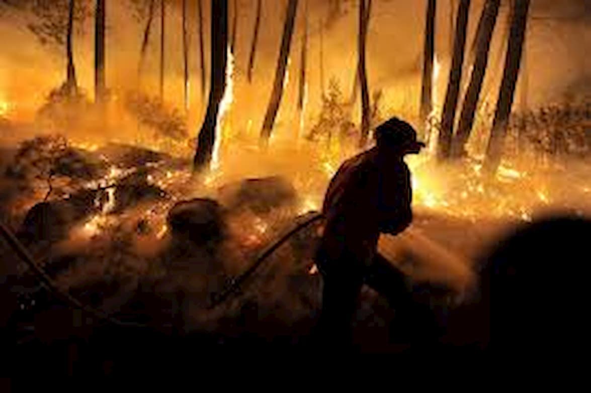 Áreas produtivas regularizadas mostram menor incidência de focos de calor, aponta Inpe