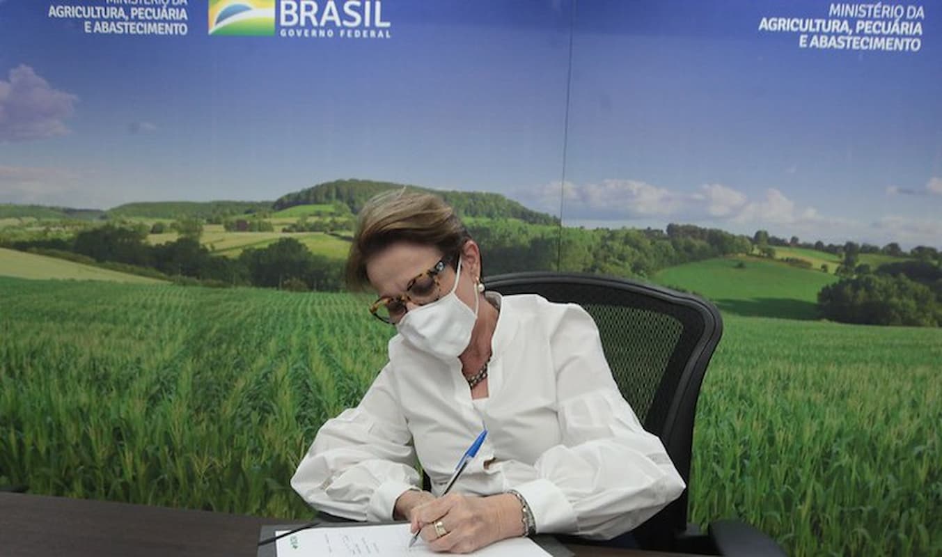 Incra e Caixa firmam parceria para oferta de serviços bancários a beneficiários da reforma agrária