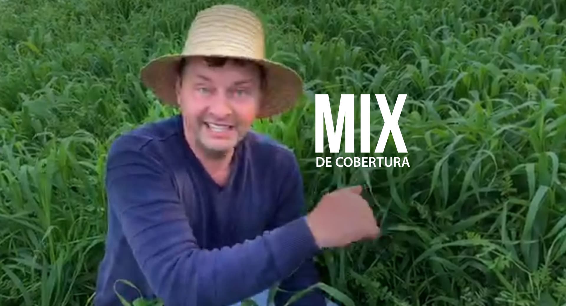 Mix de cobertura ajuda a reciclar nutrientes do solo e diminuir custos na propriedade