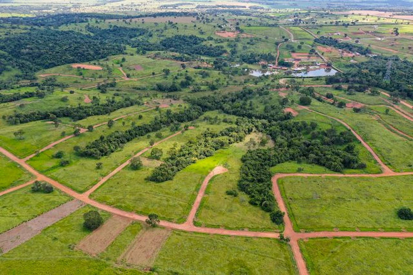 Imóveis perto da natureza têm alta procura durante pandemia de COVID-19