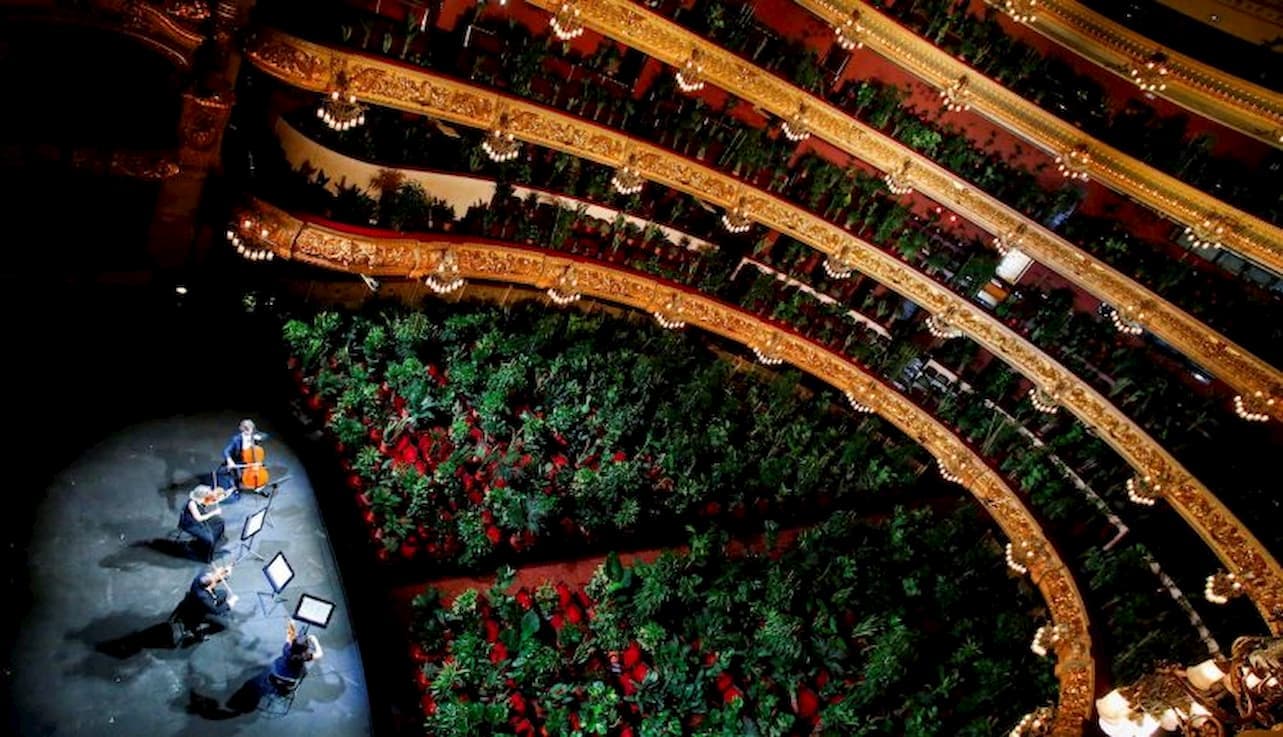 Ópera de Barcelona reabre portas com apresentar concerto para 2300 plantas