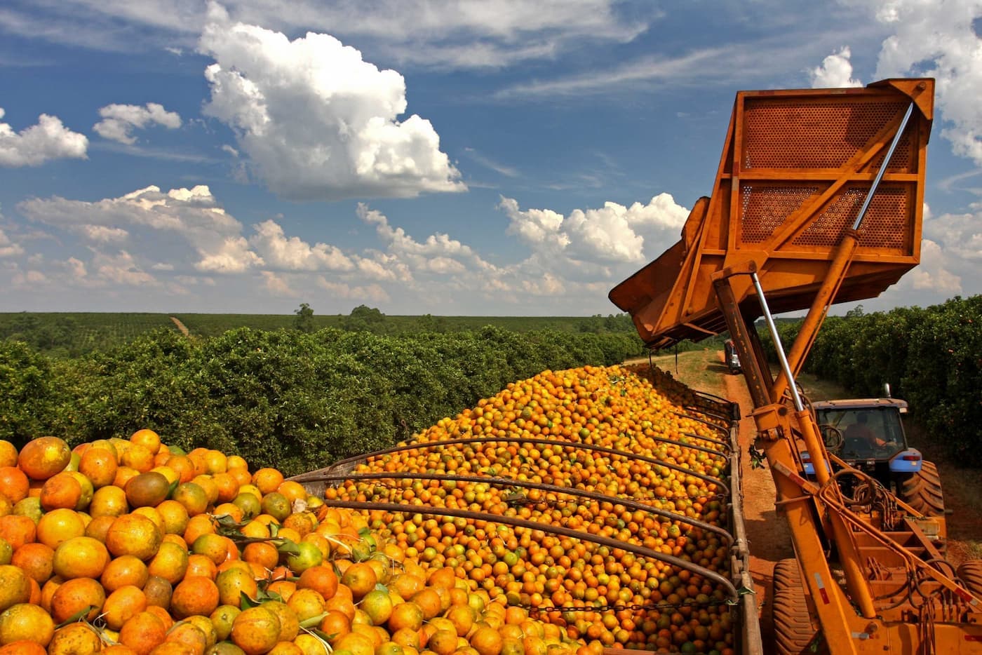 laranja