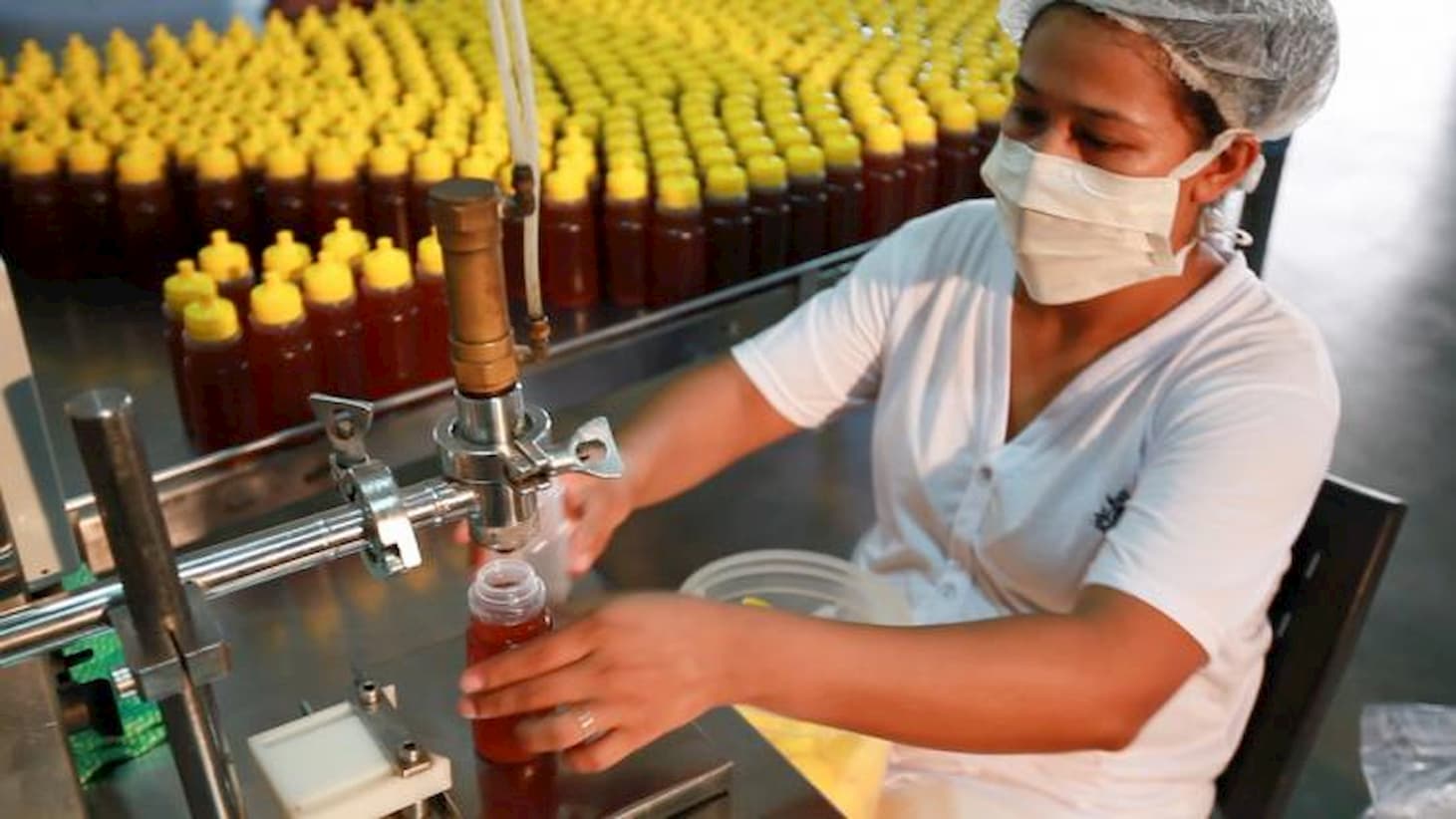 Programa Agro.BR busca ‘maturidade exportadora’ a pequenos e médios produtores