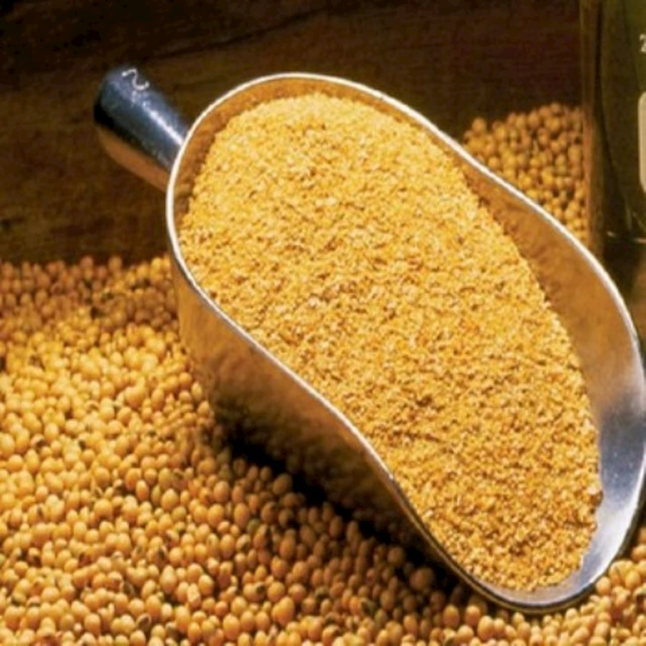 Soja: confira o mercado da última semana