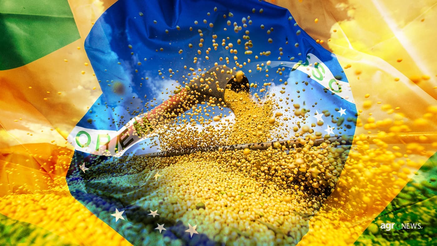 Holding Rural: A expansão das atividades e o crescimento do negócio