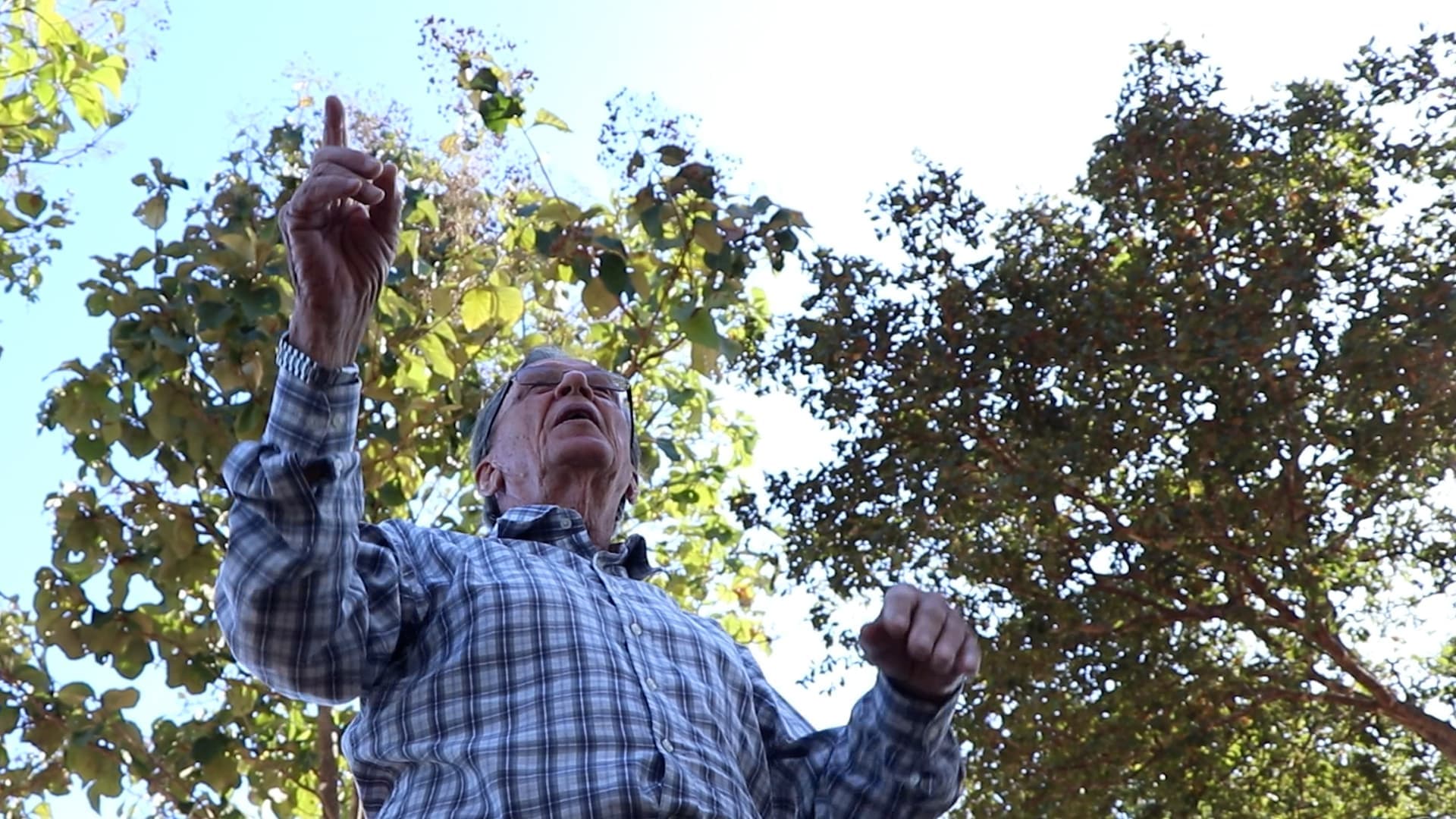 Mato Grosso tem queda de 71% nos alertas de desmatamento