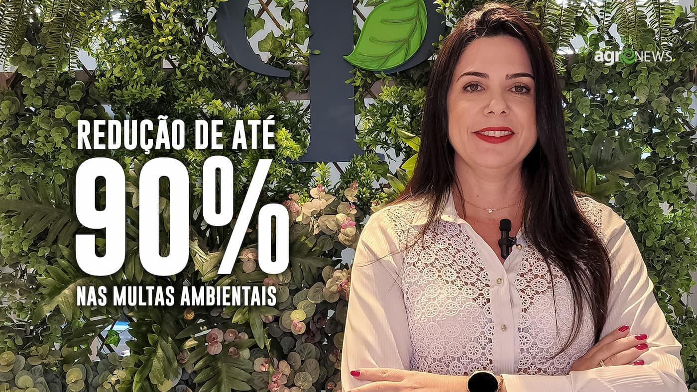 Redução de até 90% nas multas ambientais entra em vigor, saiba como