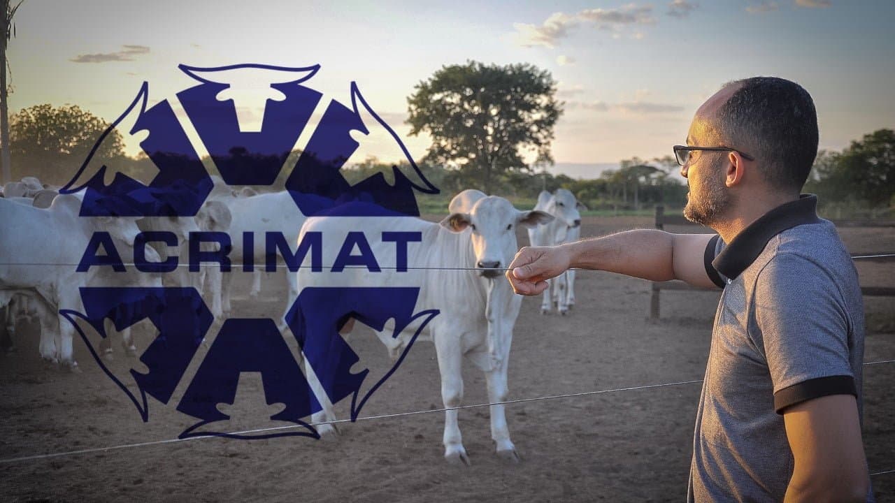 Em nota Acrimat relata preocupação de pecuaristas com ação de frigoríficos