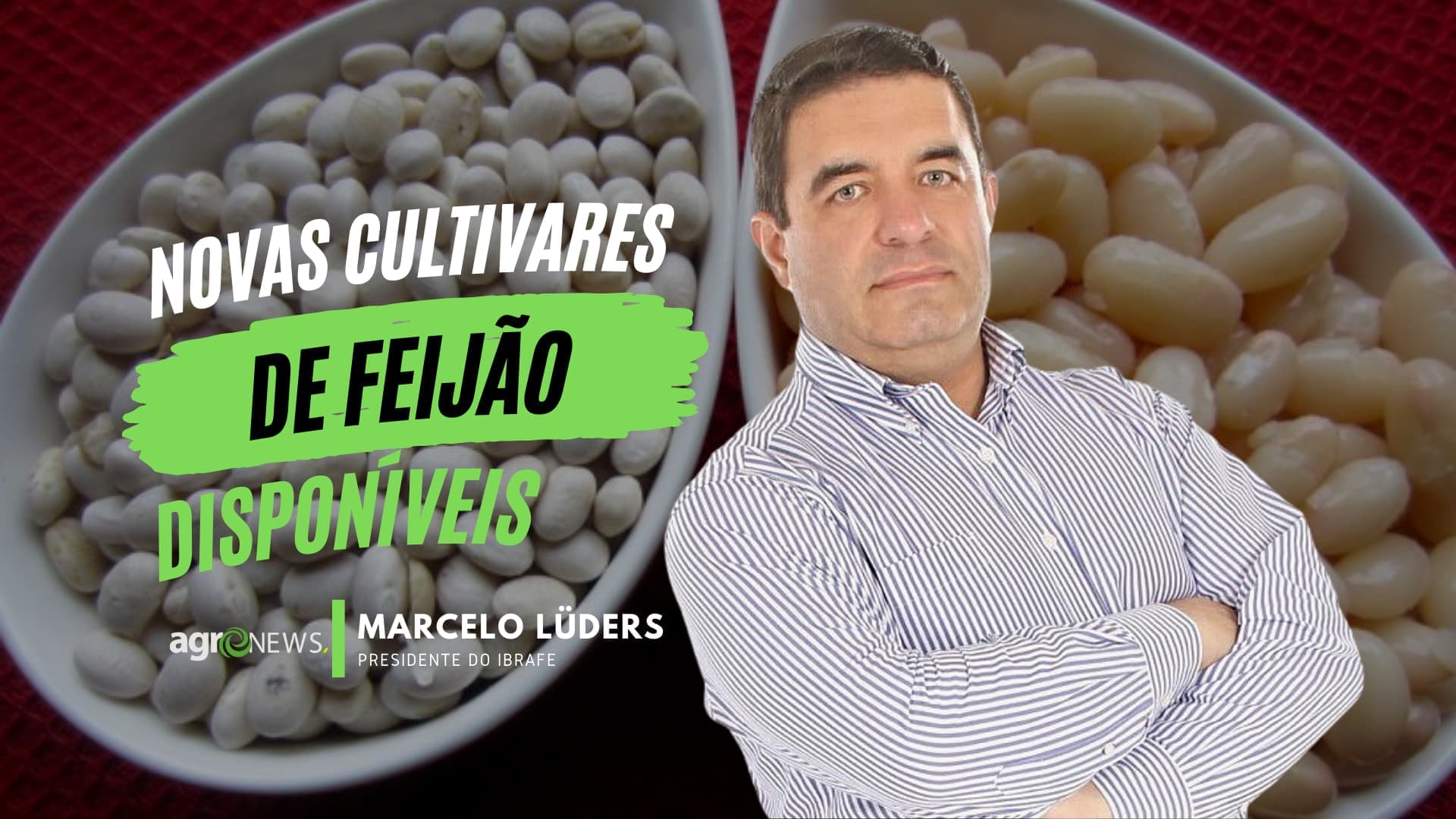 Novas cultivares de feijão com maior produtividade chegam ao mercado
