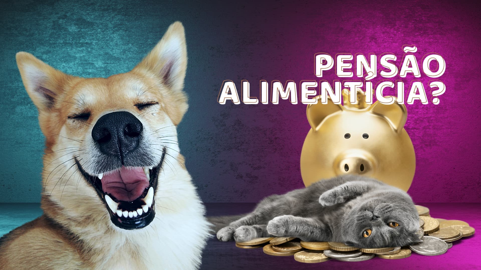 PL propõe Pensão Alimentícia para Pets, proposta tramita na Câmara