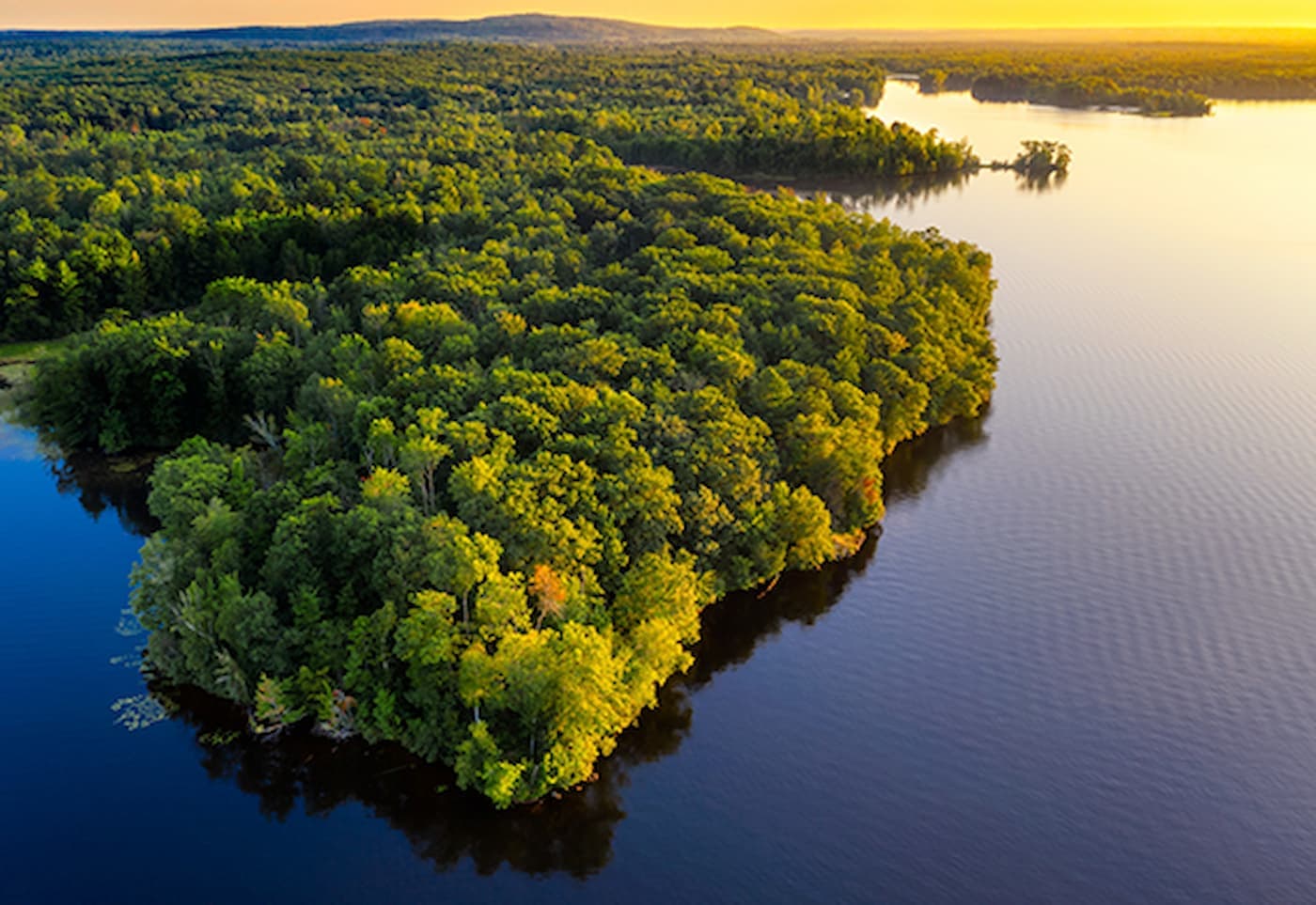 Mato Grosso capacita professores sobre bioeconomia para a Amazônia Legal