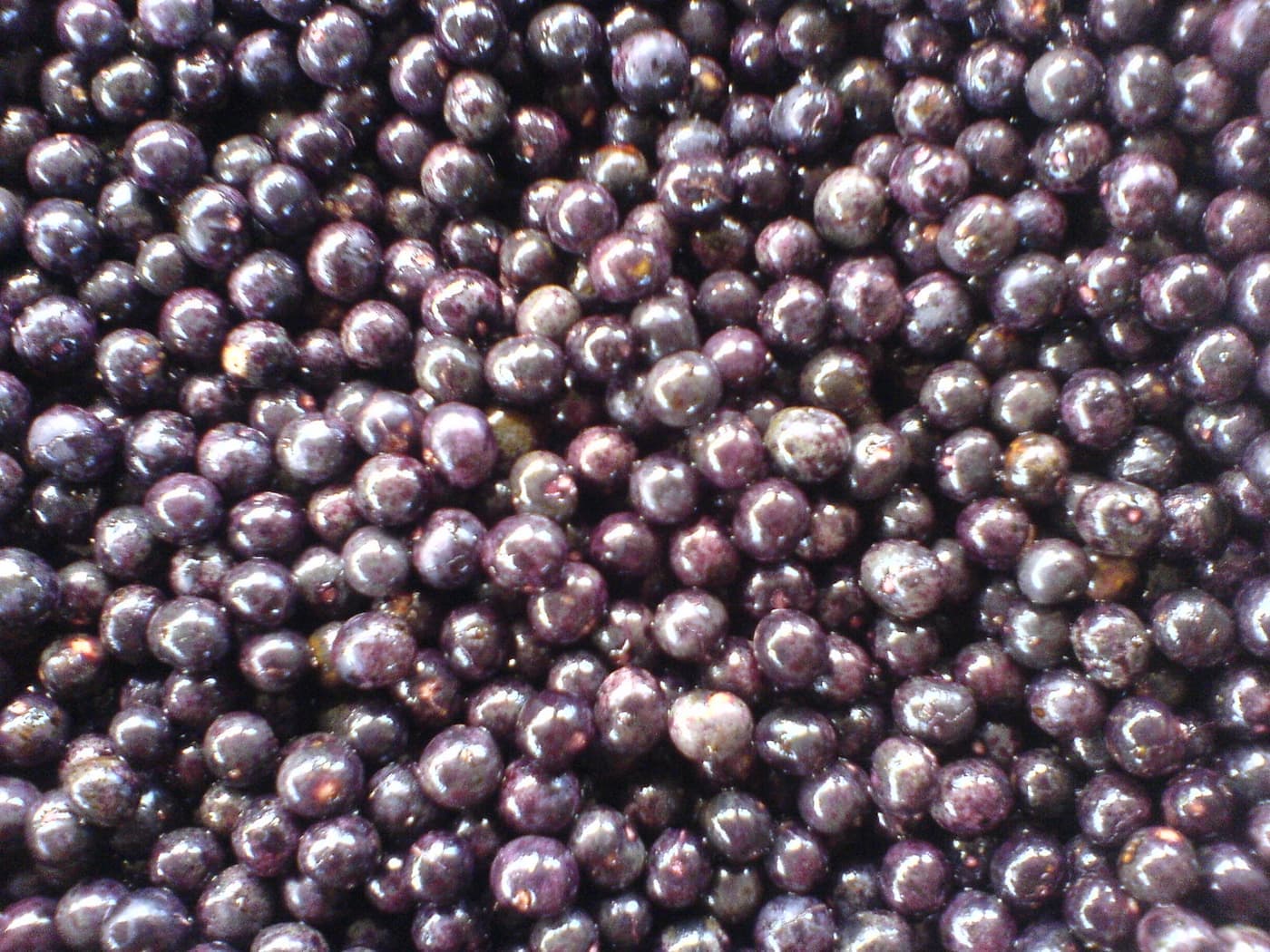 Brasil contabiliza a abertura de 20 mercados para produtos do agro