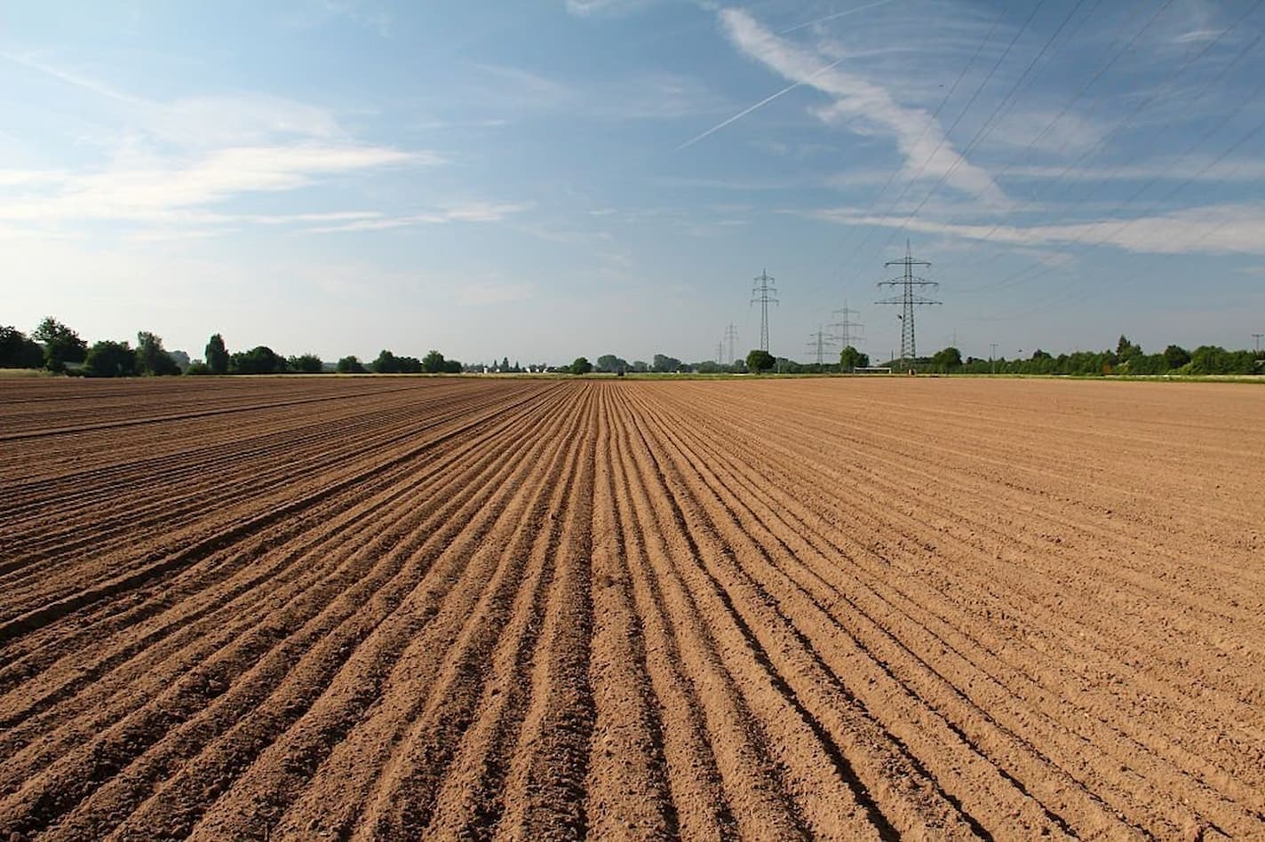 Atenção!Vazio sanitário da soja iniciou em Mato Grosso
