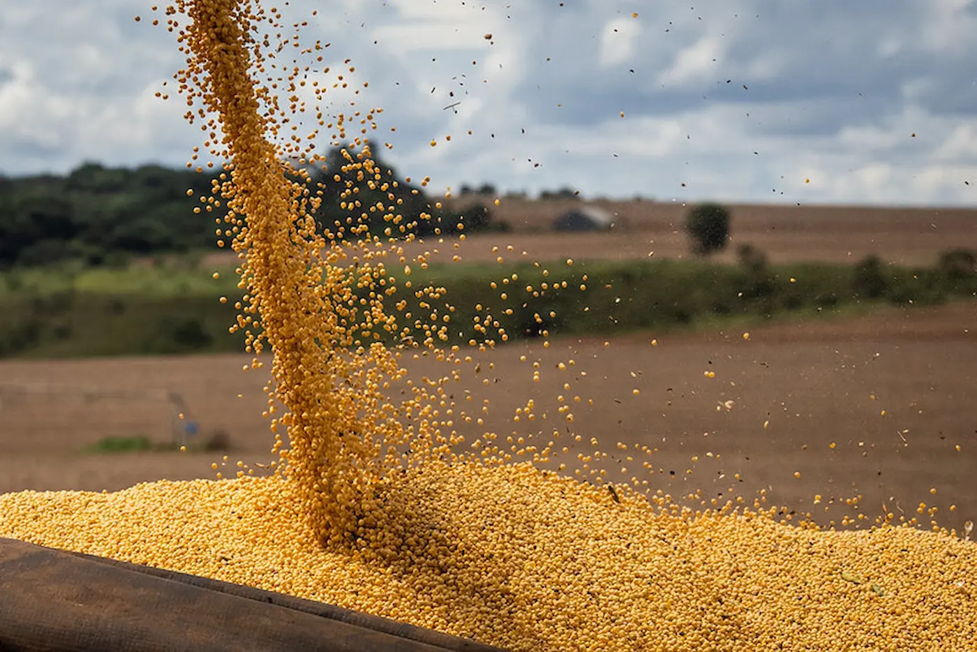 Plano Safra destina R$ 76 bi em crédito para a agricultura familiar