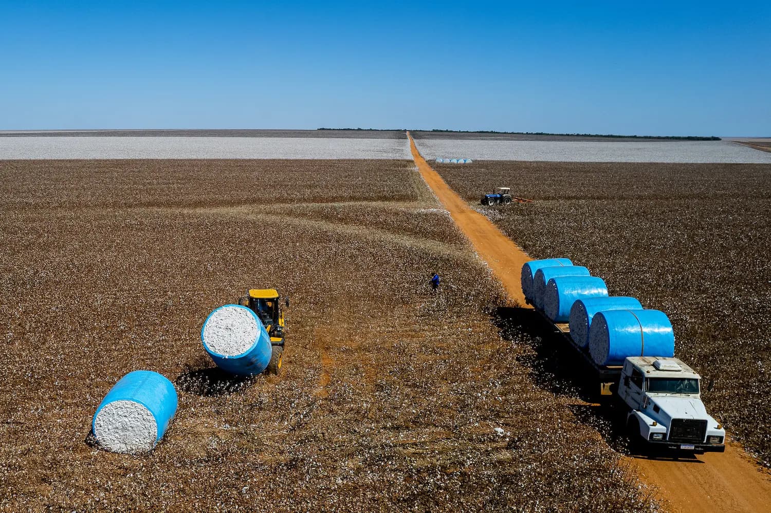 Mercado travado em Mato Grosso e a calmaria pós-fed: O jogo de paciência no milho e na soja