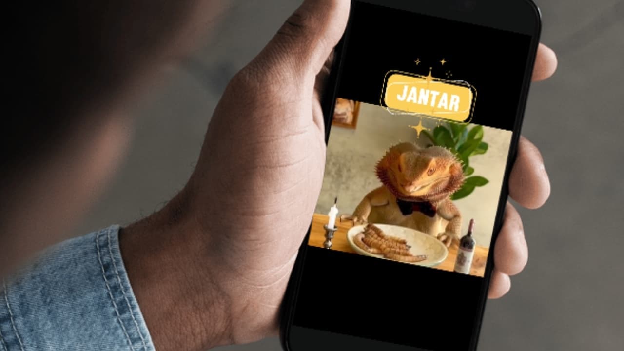 7 curiosidades sobre o Dragão-Barbudo e sua elegância, um Pet pra lá de carismático