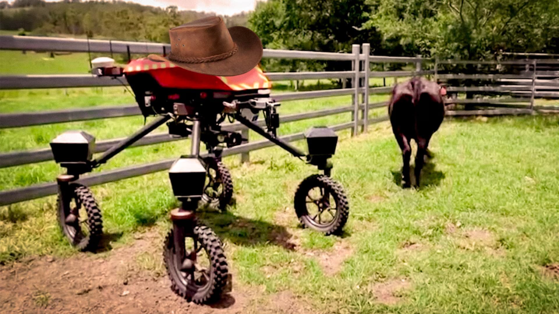 Swagbot: O Robô Vaqueiro que está revolucionando a pecuária