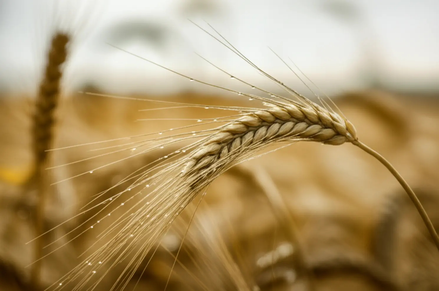 Confira a previsão do tempo de 28 de abril a 04 de maio