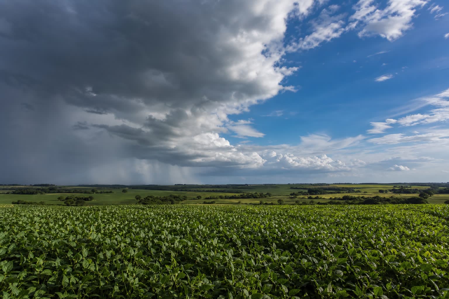 Chuva forte mantém alerta no Norte e Nordeste enquanto nova frente mira o Centro Sul