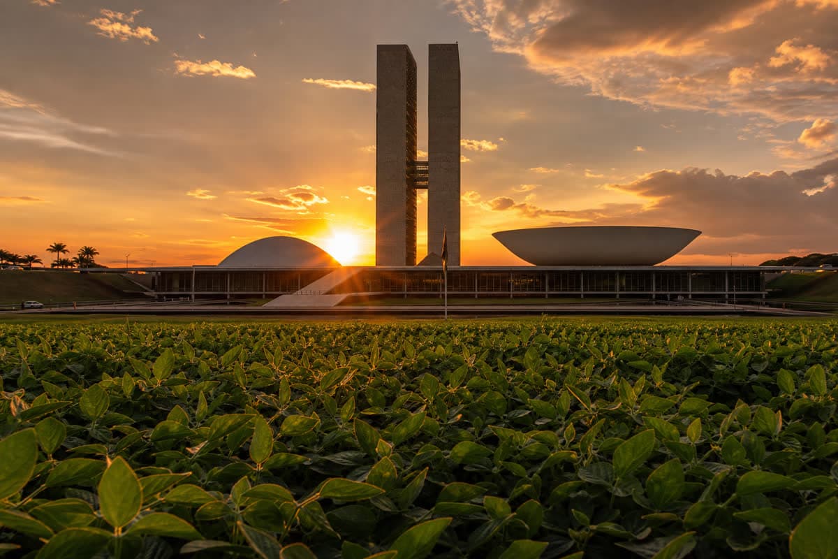 Plano Safra 2026/27 sem data de lançamento deixa produtor no escuro