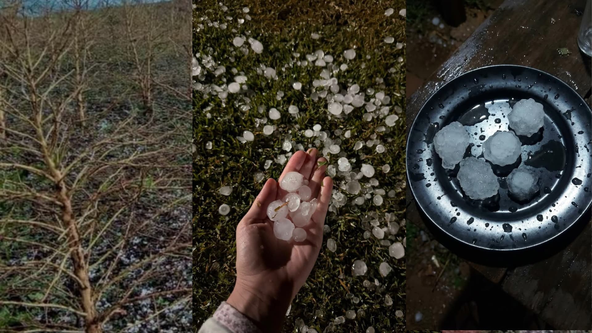 Chuva de granizo atinge lavouras de café em Manhuaçu e cidades da Zona da Mata Mineira
