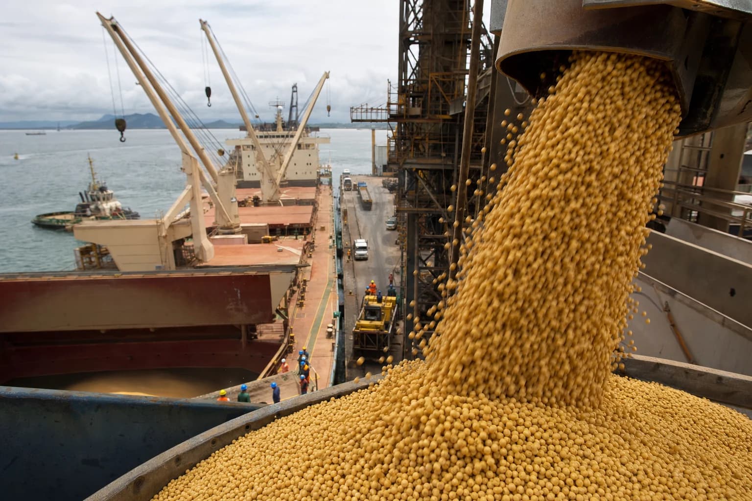 A trégua inesperada e o alívio no céu Americano: O Mercado derrete na abertura da semana