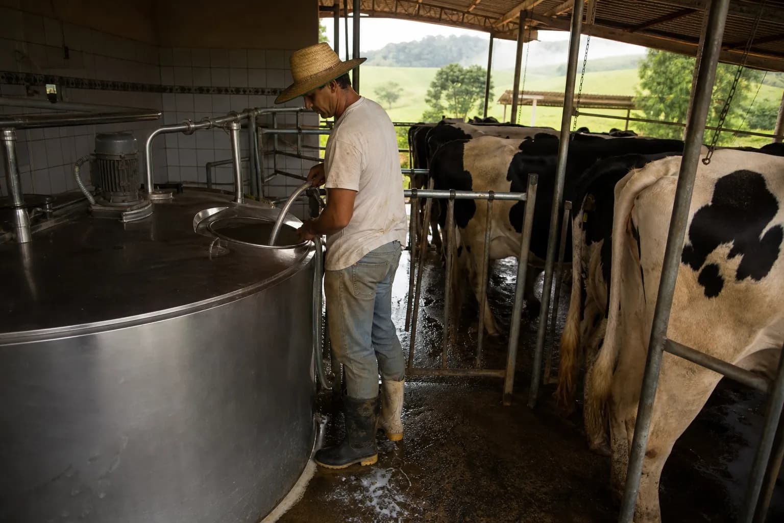 Preço do leite ao produtor sobe pela quarta vez e reacende disputa por margem no campo