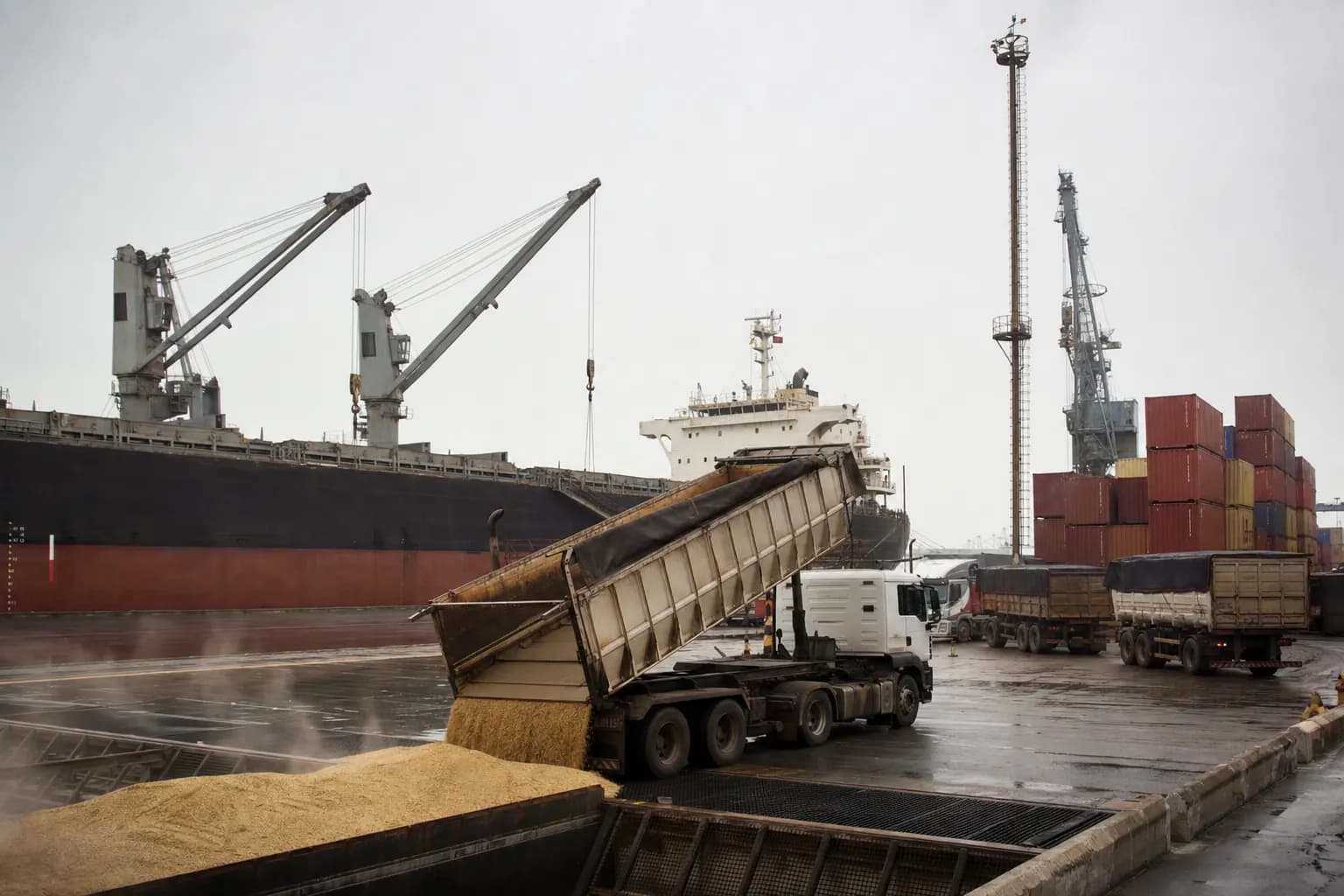 Tarifa dos EUA acende alerta para exportações do agro brasileiro