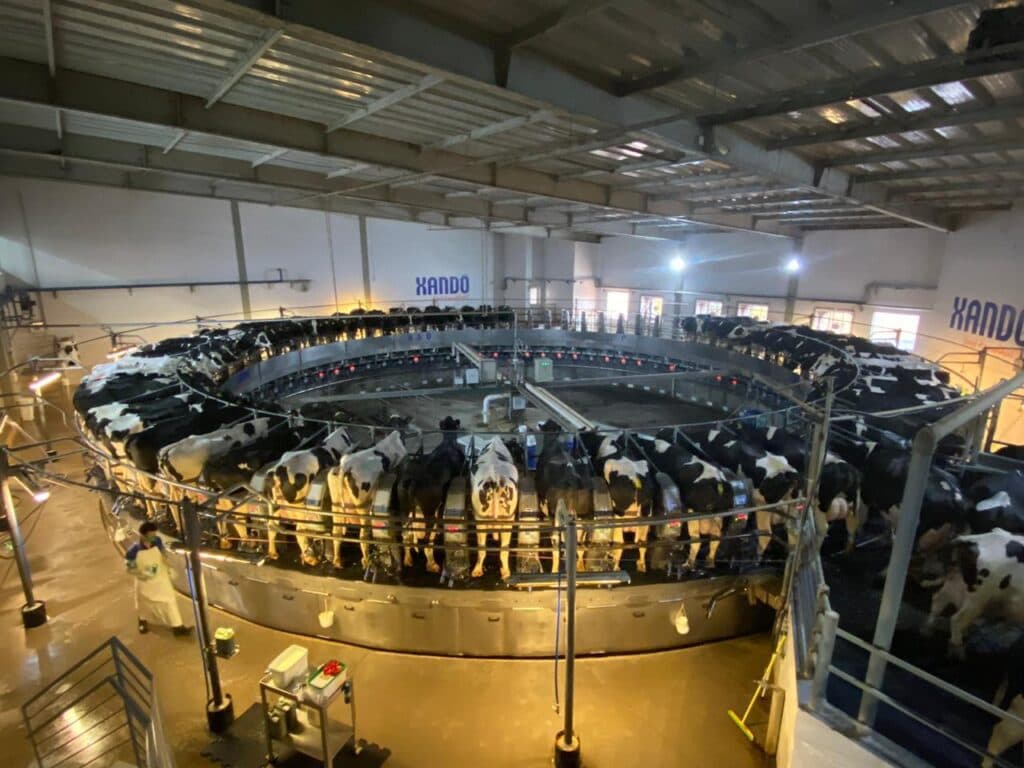 Seguro pecuário ganha força no plenário