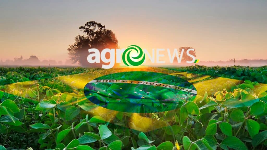 Valor Bruto da Produção Agropecuária de 2022 é estimado em R$ 1,2 trilhão