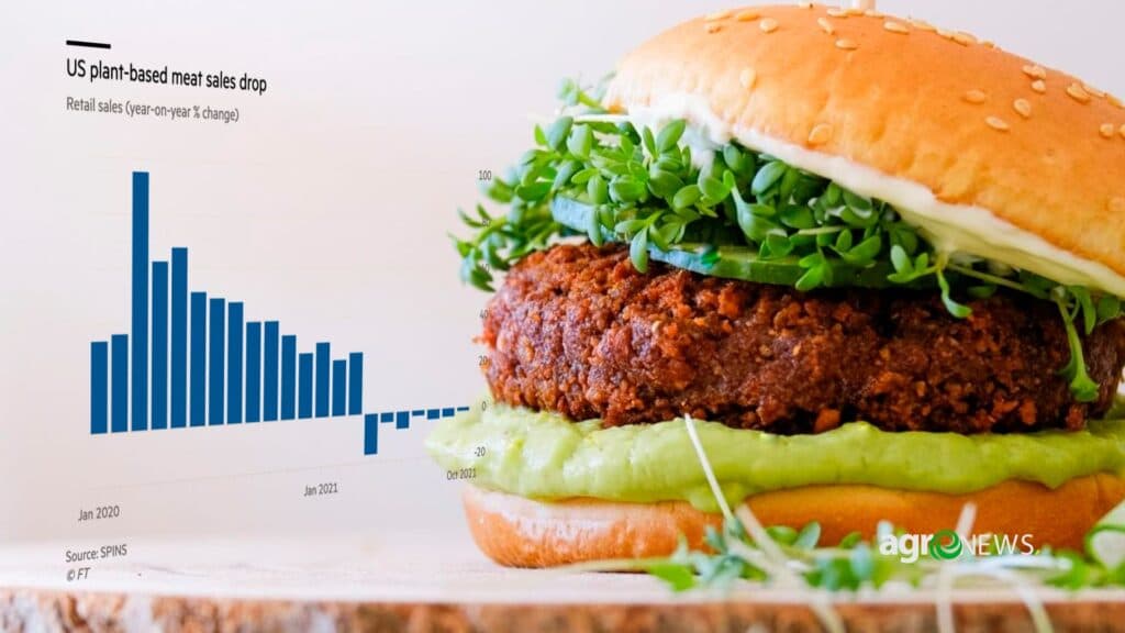 Carne a base de plantas esta perdendo mercado nos EUA a medida que as vendas caem