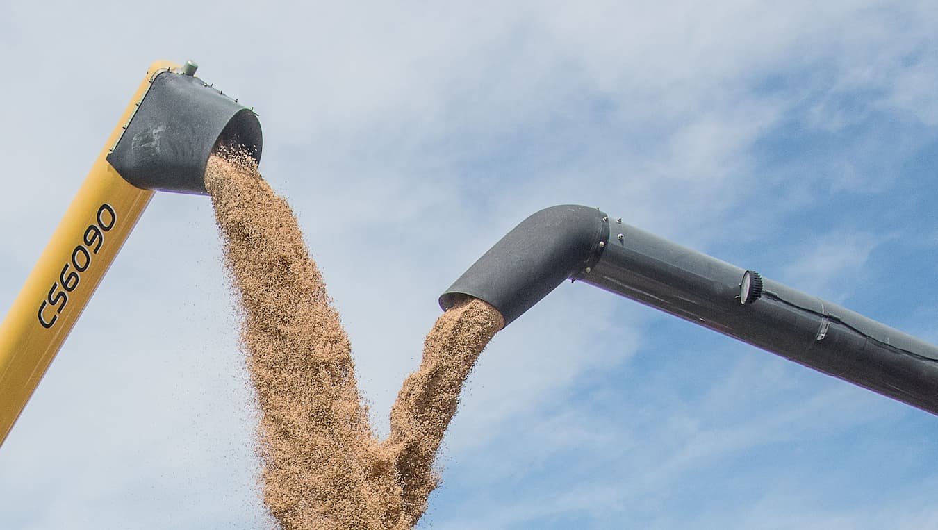 Mercado do arroz 23 de novembro 2022