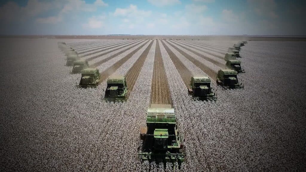 Com forte atuação no Centro-Oeste, Larco se consolida como a 5ª maior distribuidora do Brasil em diesel e gasolina